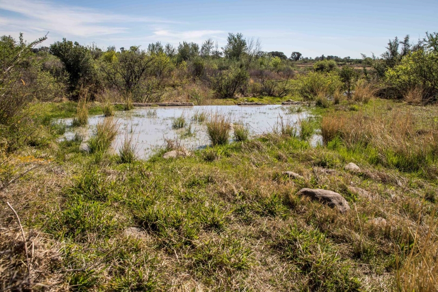 Commercial Property for Sale in Koppies Free State